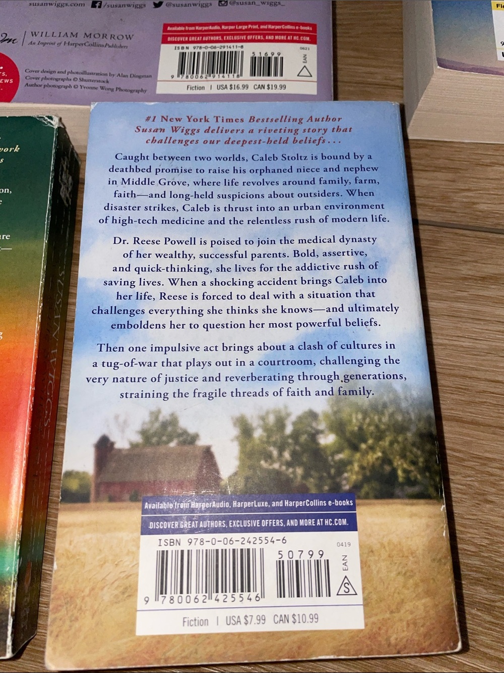 Susan Wiggs Book Lot - Picture 5 of 5